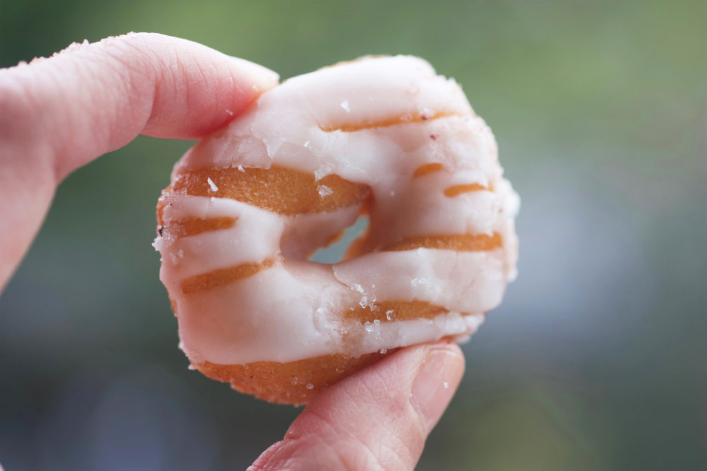 doughnuttery 2 - bionic bites